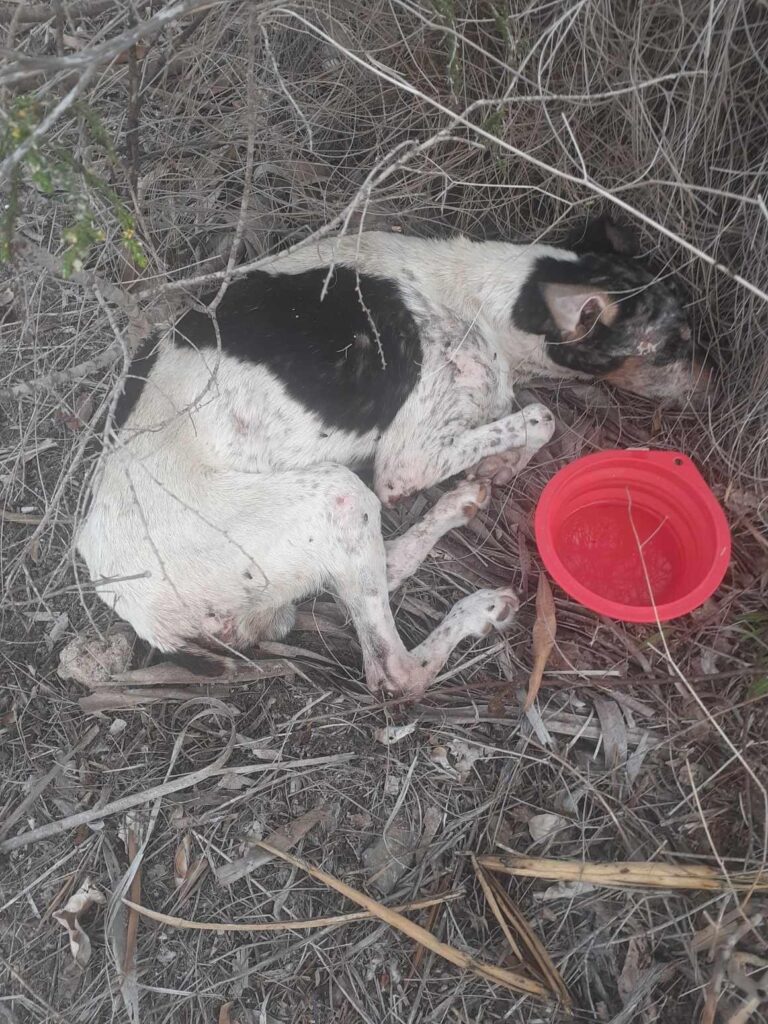 Melvin found in a bad way