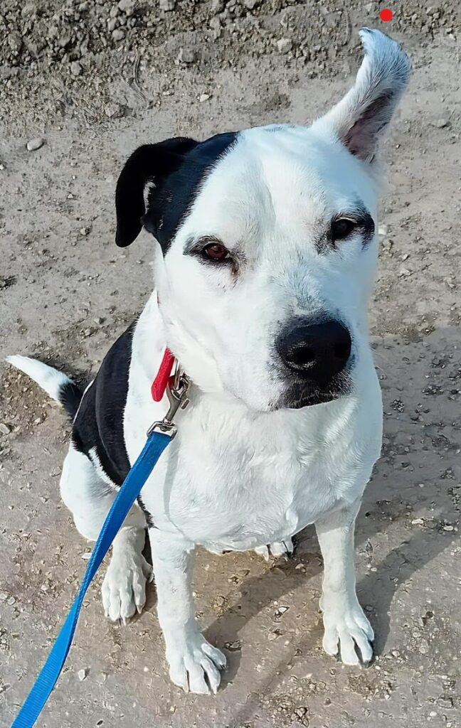 A World of Difference for Beau!