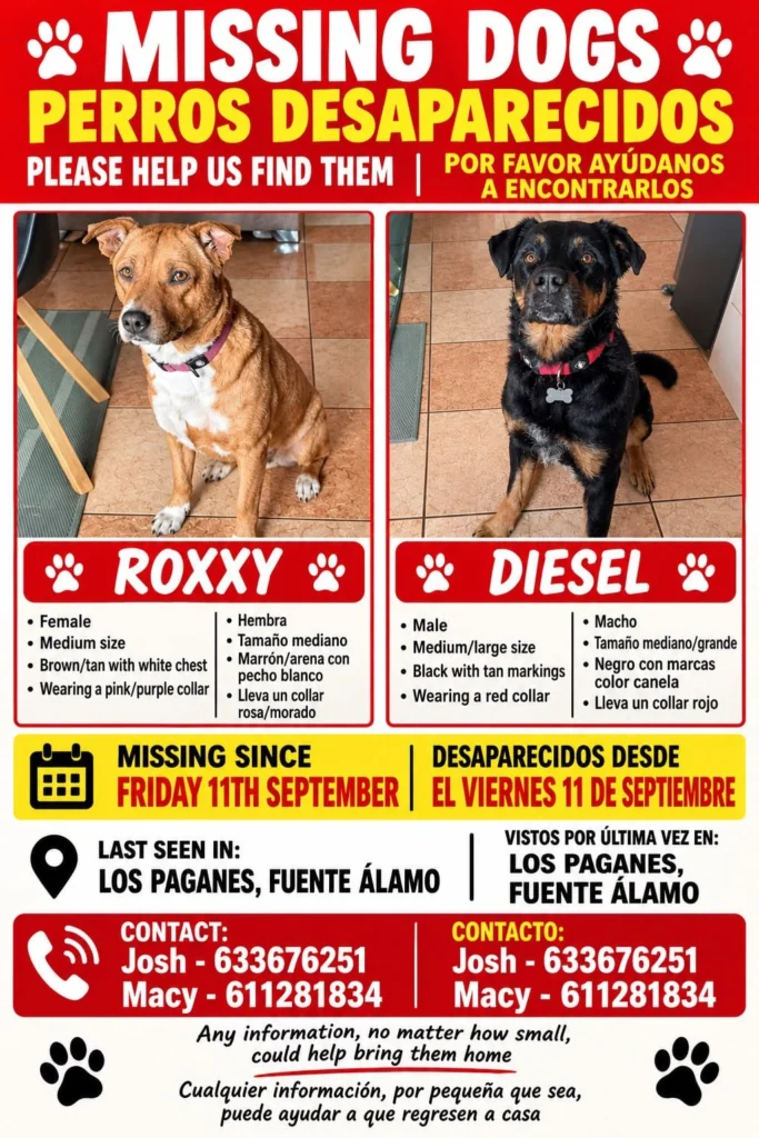 Dogs Missing from Fuente Alamo area