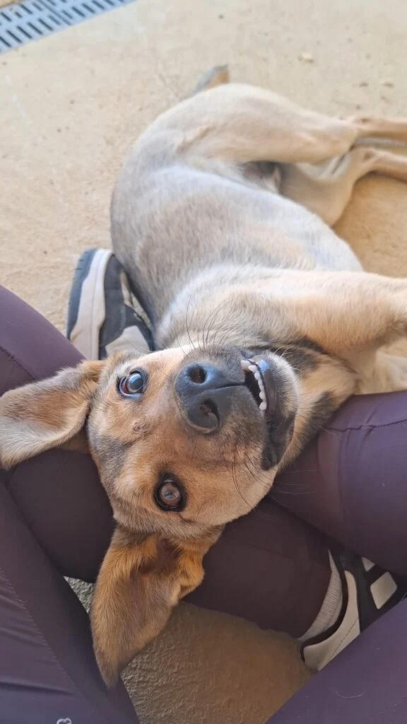 Sophia