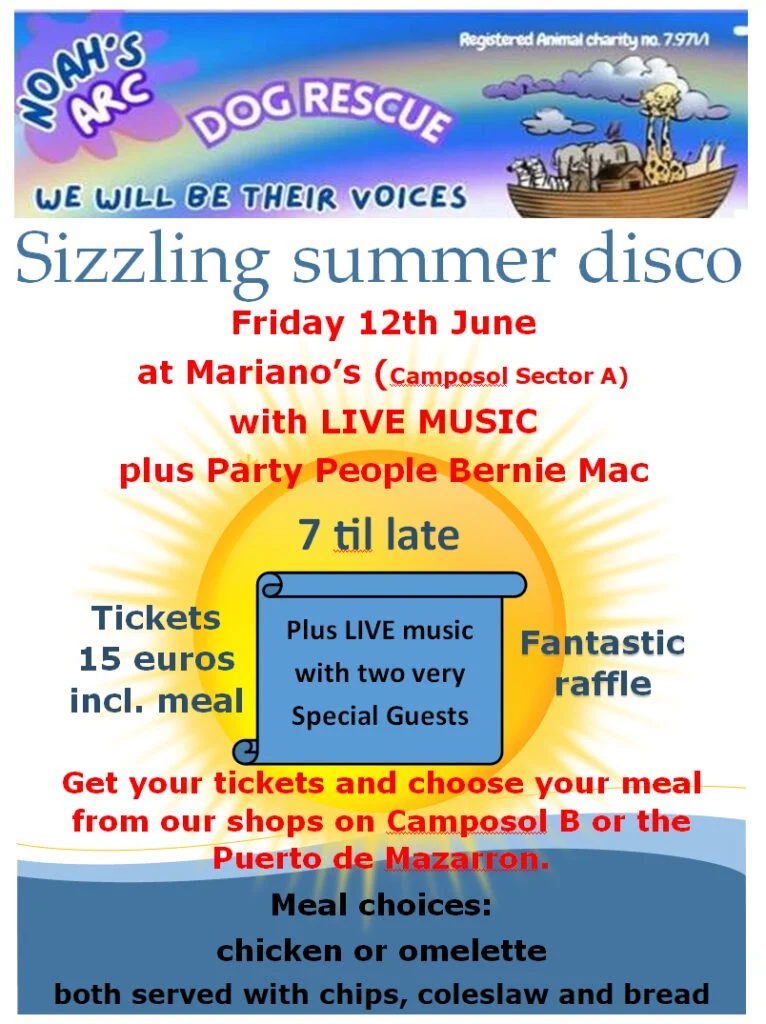 Sizzling Summer Disco