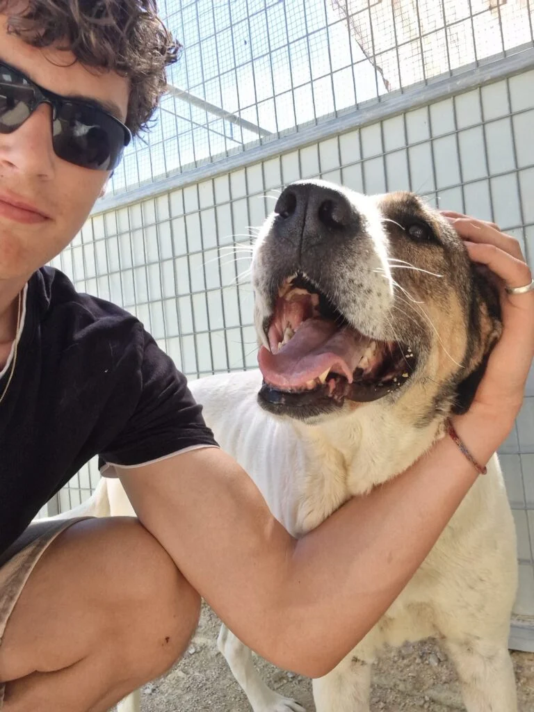 My Week Volunteering at Noahs ARC Kennels