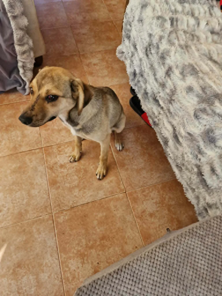 Little Girl Found